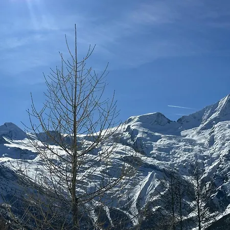 Bergfreude By Interhome Daire *