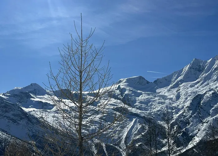 Bergfreude By Interhome Daire *