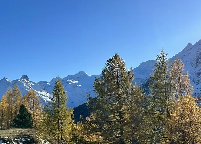 Bergfreude By Interhome Saas-Grund